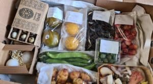 blog First Choice Box@2x